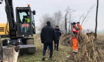 Trovati nove vitelli morti nella roggia Calcagna