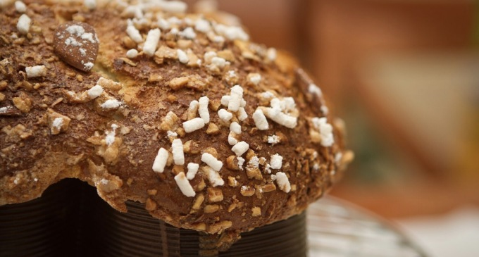 Rubate le colombe per la raccolta fondi nella sede di No One Out