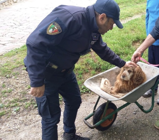 Cane rischia di annegare, salvato dagli agenti della Polizia Locale