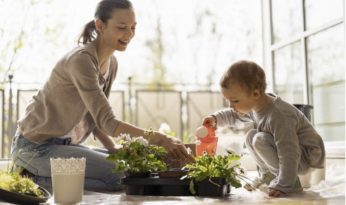 Alcuni consigli per prendersi cura del nostro orto casalingo tutto l’anno