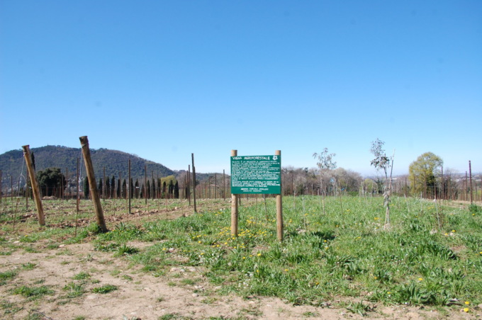 “Ecco perché i nostri vini non saranno più Franciacorta”
