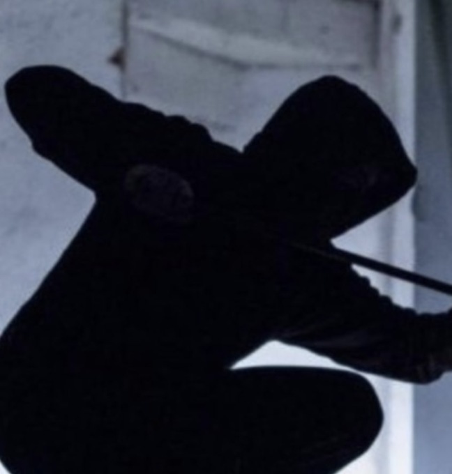 Furto in villa: tre minori finiscono in manette