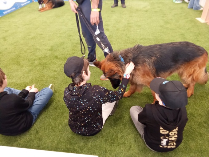 Al Centro Fiera c’è The Dog Show