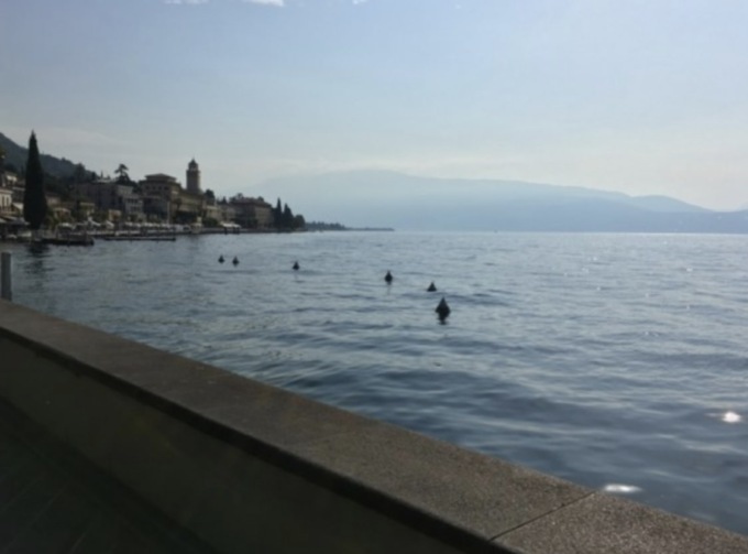 Mercato agricolo di Campagna Amica: domenica taglio del nastro a Gardone Riviera