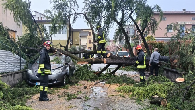 Maltempo a Brescia: al lavoro per togliere gli alberi caduti