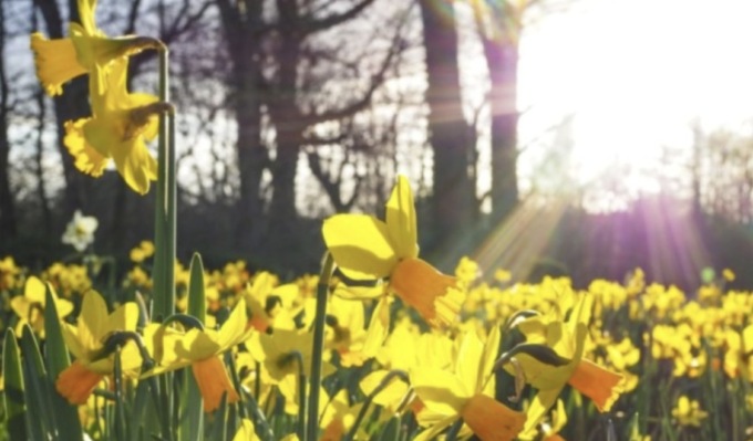 Nel Bresciano tempo quasi estivo: ecco cosa ci attende