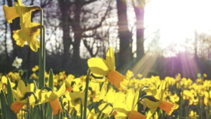Torna il bel tempo nel Bresciano: fine settimana con il sole