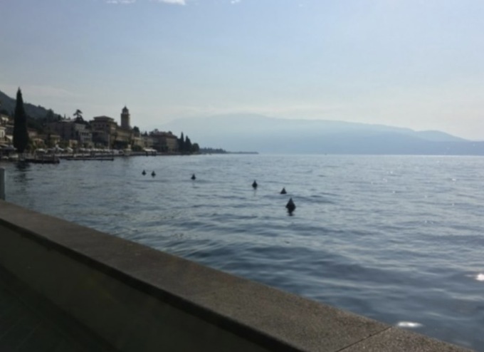 Via Crucis – Via Lucis sul lungolago di Gardone Riviera