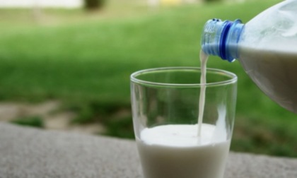 Giornata Mondiale del Latte, Brescia tra le province più rappresentative