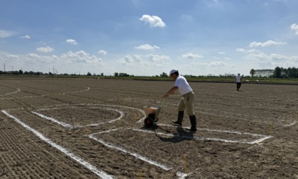Un Risegno per celebrare gli 80 anni del Carnaroli