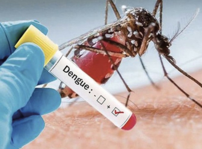 Sospetto caso di Dengue, slitta l’intervento anti zanzara in zona via Vittorio Alfieri