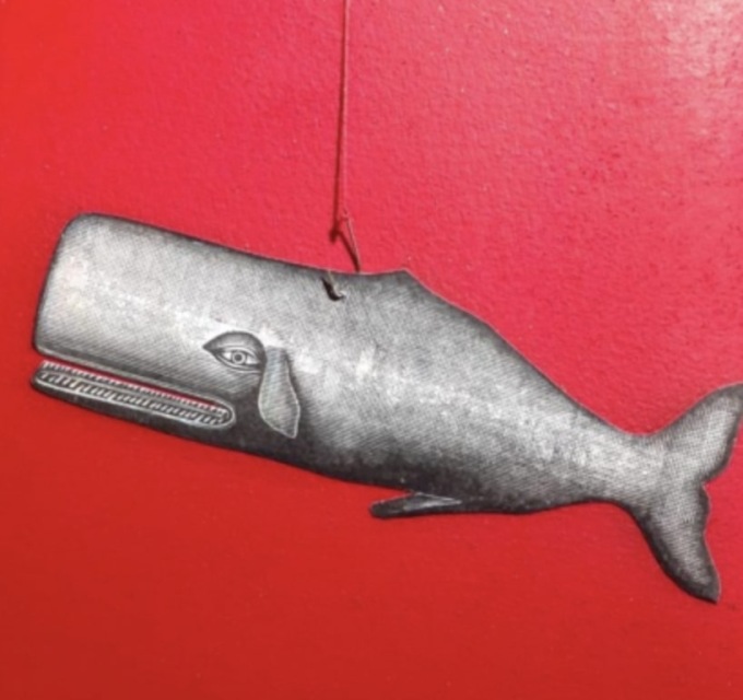 Cosa fare nel week end a Brescia e in provincia: gli eventi di sabato 7 e domenica 8 giugno 2025