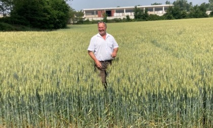 Un biofertilizzante che aiuta le piante, l’ambiente e le tasche degli agricoltori