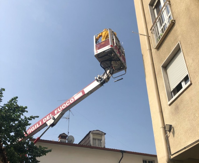 Vigili del Fuoco al lavoro per salvare le api