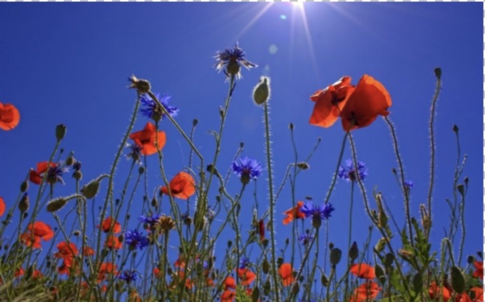 L’estate è arrivata….anche nel Bresciano: il meteo dei prossimi giorni