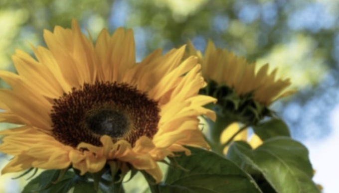 L’estate si è presa una piccola pausa ma sta tornando…anche nel Bresciano
