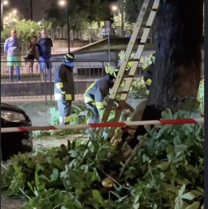 Paura a Salò, auto colpita da un grosso ramo