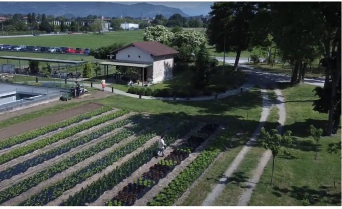 Piante aromatiche, un tocco profumato e colorato in cucina