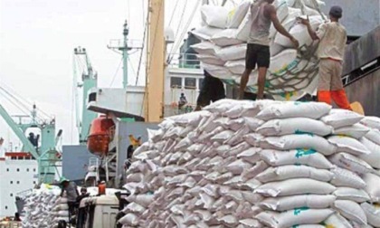 Ogni tre giorni l’Unione europea lancia un’allerta alimentare per riso d’importazione contaminato