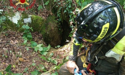 Cane cade in una grotta a Serle, intervengono i Vigili del Fuoco