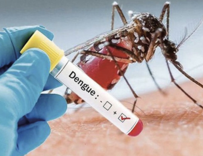 Caso Dengue: secondo caso sospetto a Brescia