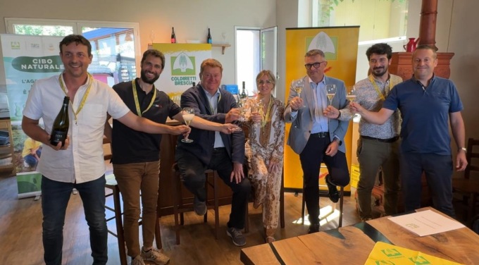 I viticoltori bresciani si preparano alla vendemmia: il 2025 un’annata di qualità