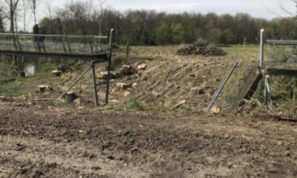 In arrivo nuovo spazio per la comunità e il Bosco