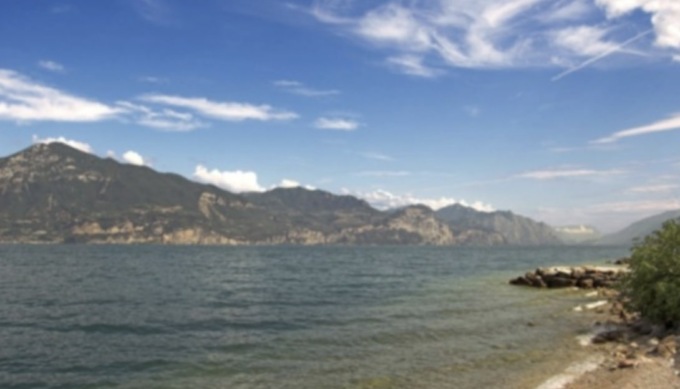 La tartaruga americana che sta invadendo il Garda