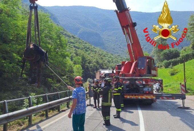 Nave, cavallo scivola nel torrente Garza: l’intervento dei Vigili del Fuoco