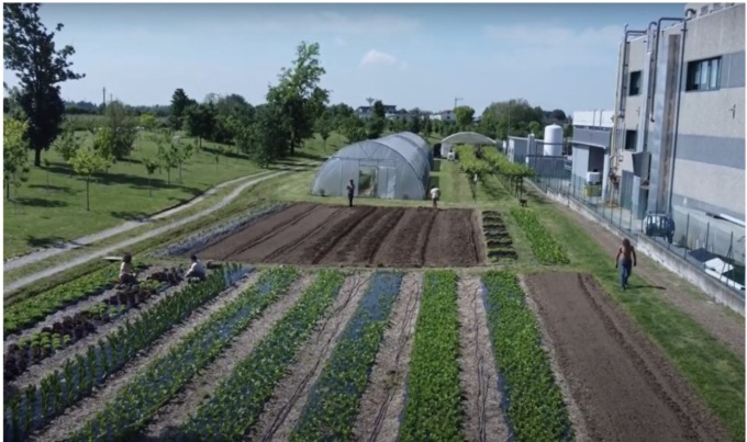 Orti sociali: luoghi di aggregazione, rinascita e di educazione ambientale