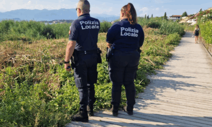 Sirmione, tagliati 500 mq di canneto: distrutti nidi e danneggiato l’ecosistema