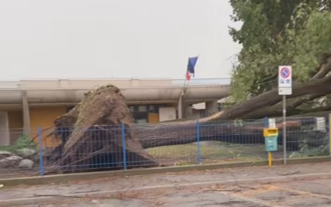 Forte vento, pioggia e alberi caduti: il maltempo sferza il Bresciano