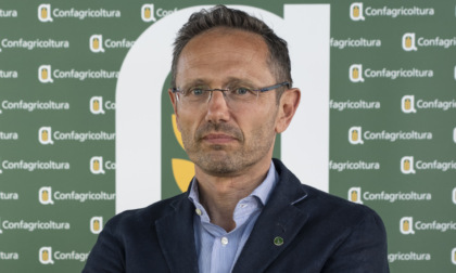 Gli agriturismi bresciani lontani dai fasti degli anni precedenti: cosa c’è da sapere