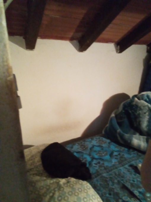 Affitti abusivi nel centro di Bagnolo Mella: dormivano in 13 in due mini alloggi