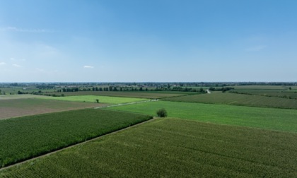 Mais nano: la novità 2025 nelle campagne bresciane