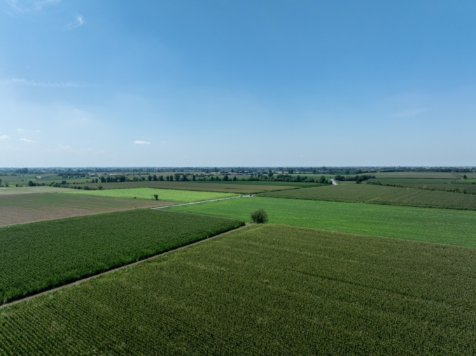 Mais nano: la novità 2025 nelle campagne bresciane