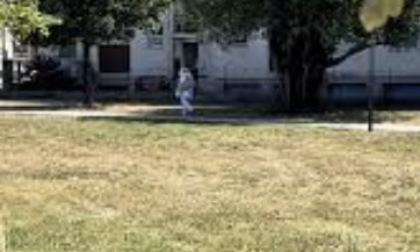 Parco John Lennon: procedono i lavori di bonifica