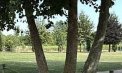 Parco di via Livorno: procedono da cronoprogramma i lavori di bonifica