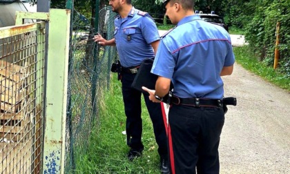 Ruba gli ortaggi negli orti della cooperativa: scatta l’arresto