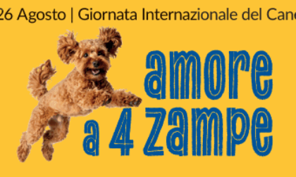 “Amore a 4 zampe”, manda una foto e festeggia con noi la Giornata internazionale del cane