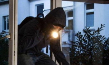 Si intrufola nell’abitazione e ruba pregiate bottiglie di vino: in manette un 26enne