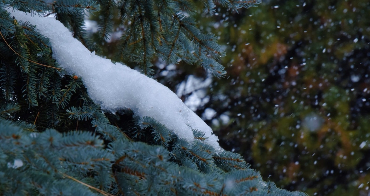 Addio all’estate: arriva la neve