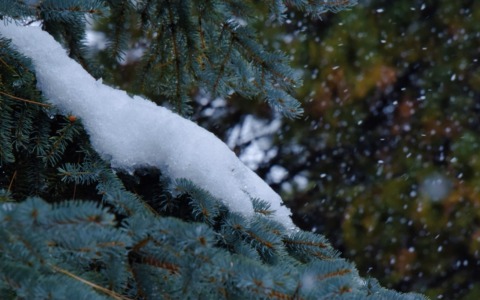 Addio all’estate: arriva la neve