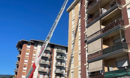 Cane rimane chiuso all’ottavo piano: l’intervento dei Vigili del Fuoco