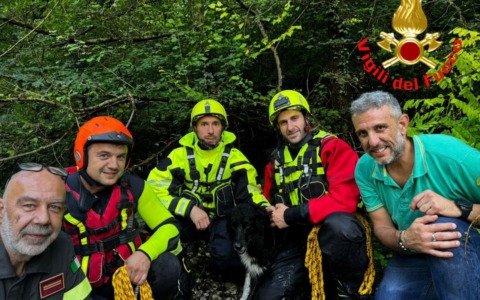 Cane in difficoltà lungo il fiume Chiese: l’intervento dei Vigili del Fuoco