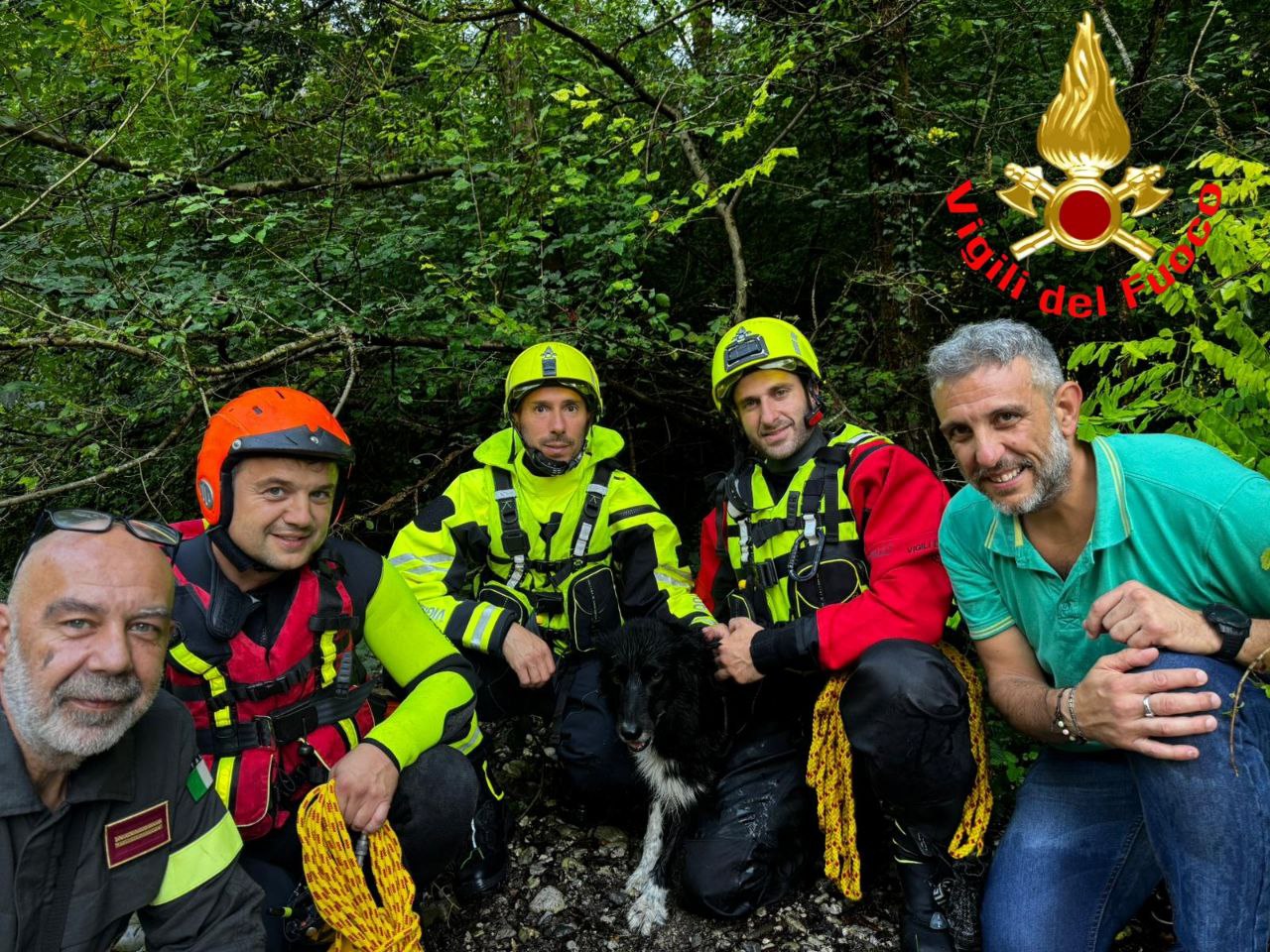 Cane in difficoltà lungo il fiume Chiese: l’intervento dei Vigili del Fuoco