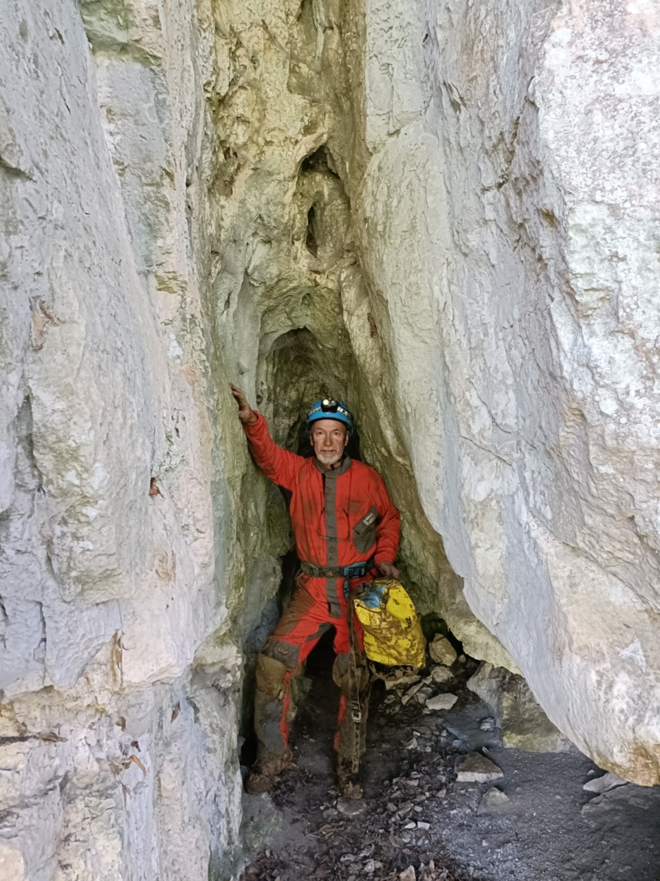 Tre nuove specie di coleotteri scoperte da Luigi Petruzziello