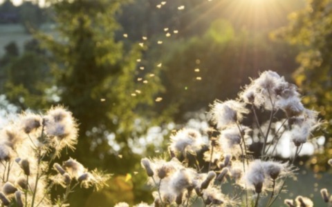 Tempo stabile nel fine settimana: cosa ci attende nel Bresciano