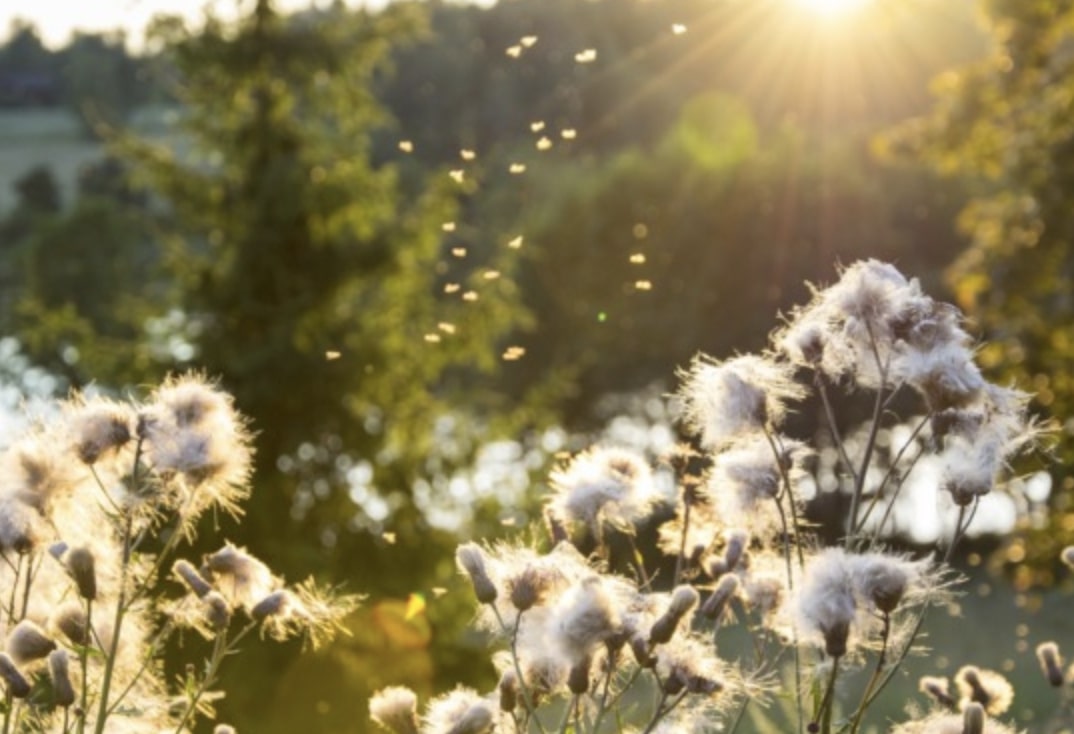 Tempo stabile nel fine settimana: cosa ci attende nel Bresciano