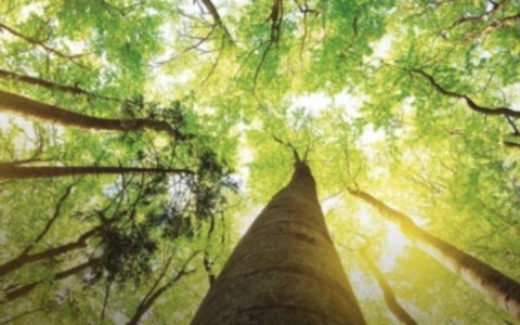 Pac, Piano aria e clima: tutti gli appuntamenti in programma a Brescia